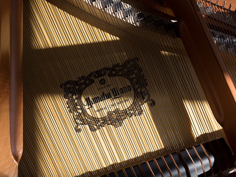لقطة مقرّبة لأوتار بيانو كبير