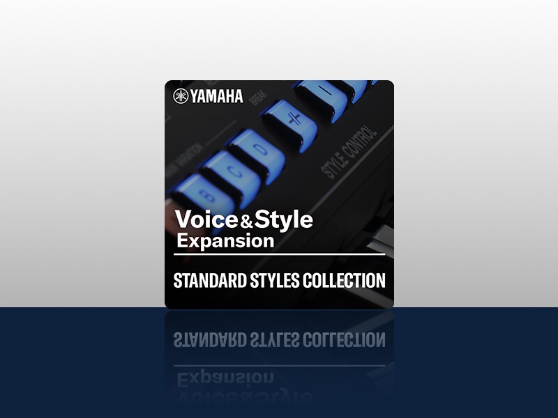 أيقونة مجموعة الأنماط القياسية لجينوس 2