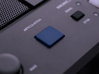 صورة ميزة زر ARTICULATION في PSR-E583