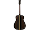 FG9 R back