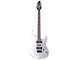 RGX121Z FSL:Flat Silver