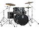 Live Custom:Black Shadow Sunburst