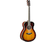 FS-TA Brown Sunburst Left Front
