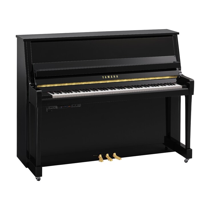 Product image of B20TC3 (Polished Ebony)