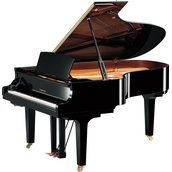 Yamaha C5X SH3