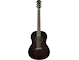 CSF1M Translucent Black Straight Front