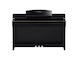 CSP-255_Polished Ebony_front