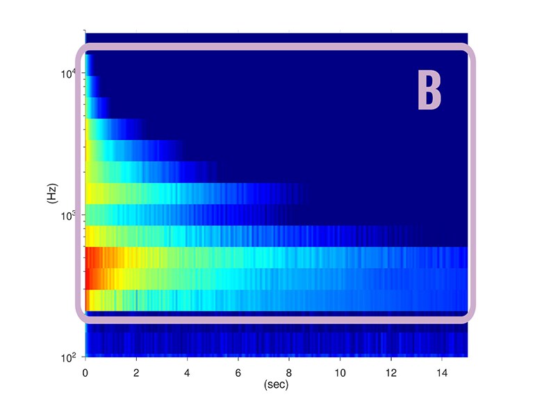 Acoustic characteristics when using only the core section of SECW washers. Volume and sustain increase across the entire frequency range