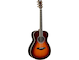 LS-TA Brown Sunburst Left Front