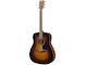 F310 Tobacco Brown Sunburst
