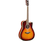 FGC-TA Brown Sunburst Left Front