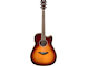 FGC-TA Brown Sunburst Straight Front