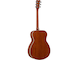 FS-TA Brown Sunburst Left Back
