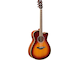 FSC-TA Brown Sunburst Left Front