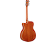 FSC-TA Brown Sunburst Left Back