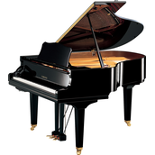 Yamaha GC2 SH3