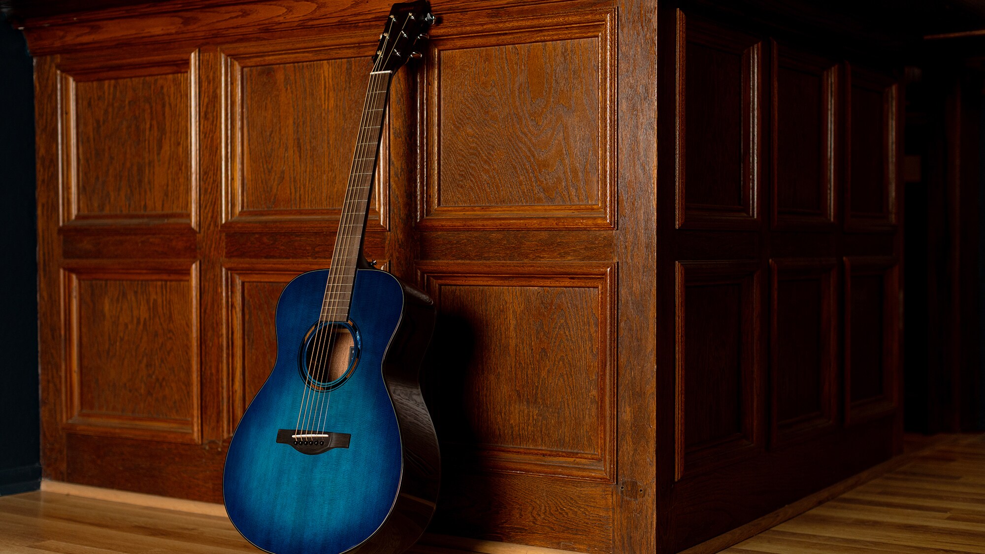 An TAS1 E acoustic guitar standing upright against a brown wall indoors