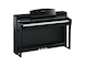 CSP-255_Polished Ebony_angle