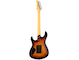 PACP12 Desert Burst Straight Back