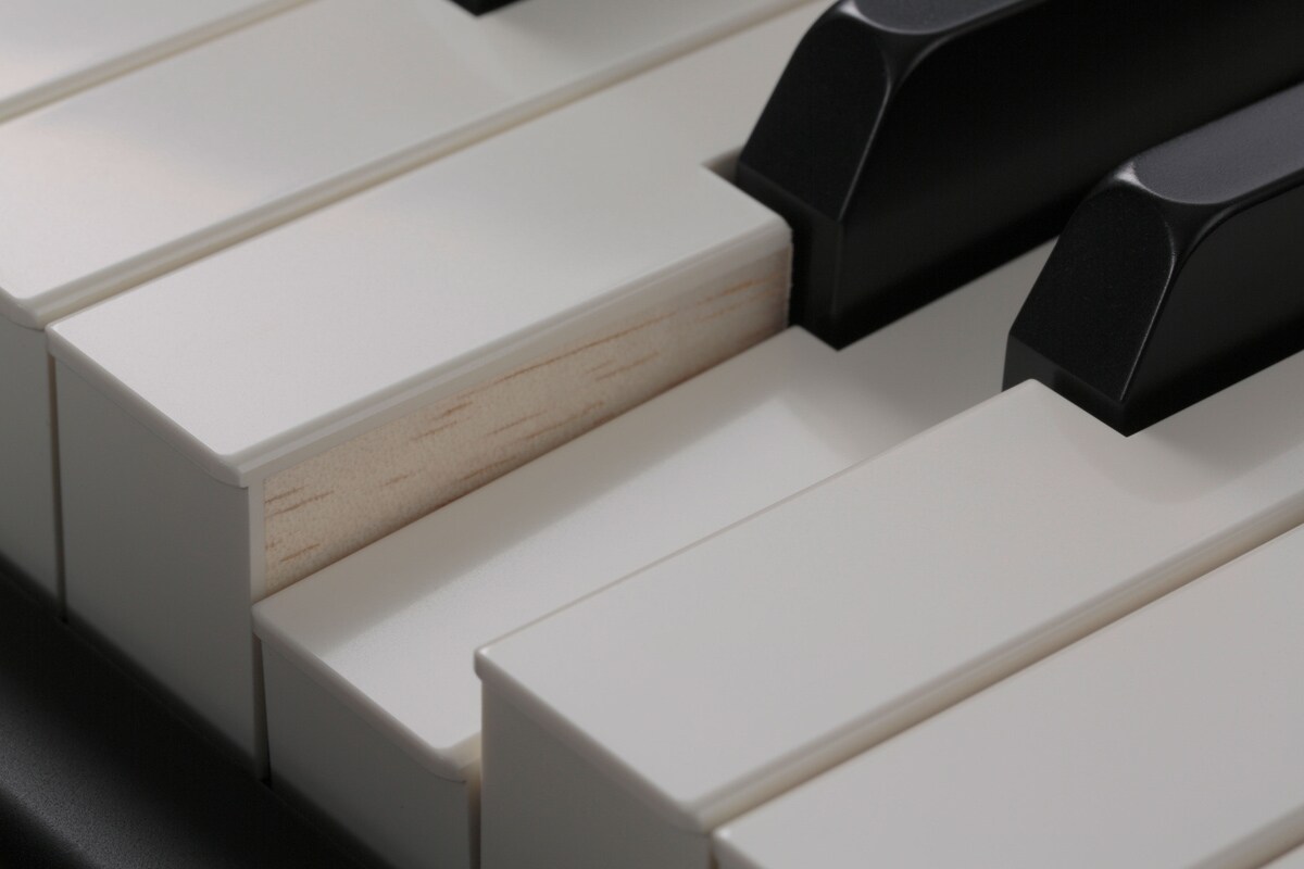 CP4/40 STAGE - Overview - Stage Keyboards - Products - Keyboard