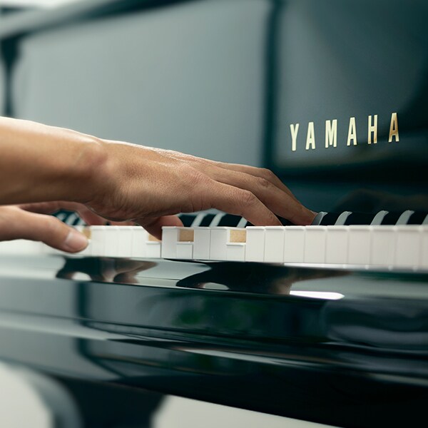 Feature image of delicate touch and expressive capability
