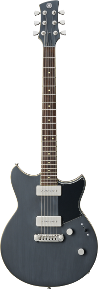 RS502